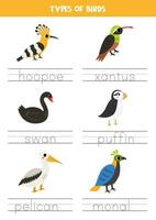 rastreo nombres de aves tipos escritura práctica. vector