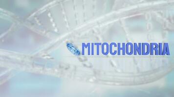The Mitochondria for sci or health concept 3d rendering photo