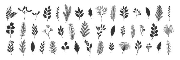 Vector set illustrations of Christmas greenery.