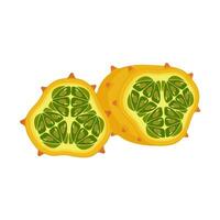 Kiwano set design with isolated whole and cut tropical fruit horned spiked melon. Orange african cucumber in flat detailed vector style for packaging, designs, decorative elements