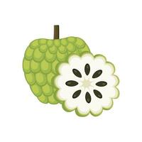 lactoso manzana conjunto diseño con aislado todo y cortar tropical Fruta anona reticulada. verde azúcar manzana en plano detallado vector estilo para embalaje, diseños, decorativo elementos