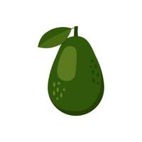 Avocado element, halved green tropical fruit with seed. Vegan healthy nutritious food in flat detailed vector style for packaging, designs, decorative elements