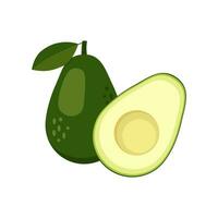 aguacate conjunto con reducido a la mitad verde tropical Fruta con semilla. vegano sano nutritivo comida en plano detallado vector estilo para embalaje, diseños, decorativo elementos