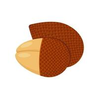 Salak set design with isolated whole and halved sweet tropical snake fruit. Exotic vegan food in flat detailed vector style for packaging, designs, decorative elements