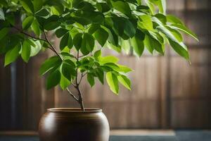 AI generated a small plant in a vase on a table photo