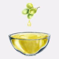 Drop of grape juice is drained from the grapes into a bowl. A cup with grape juice. Grape seed oil in glass dish. Isolated watercolor illustration. For the design of labels of wine, grape juice vector