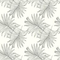 tropical palma hojas sin costura vector ilustración modelo antecedentes. diseño para utilizar todas terminado tela impresión envase papel y otros.