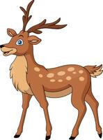 Cute deer cartoon on white background vector