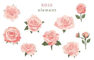 pink rose object element set with leaf.illustration vector for postcard,sticker