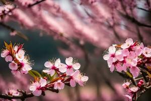 ai generado rosado Cereza flores son floreciente en el Dom. ai generado foto