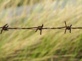 Close up of old barbed wire. photo