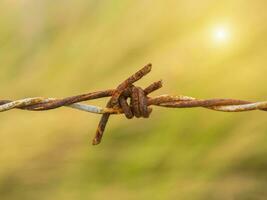 Close up of old barbed wire. photo