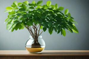 ai generado un pequeño planta en un florero en un table.ai-generado foto