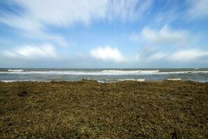 Dry grass and motion cloud over the sea. photo