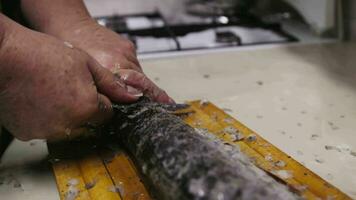 woman scaling luce fish with small knife on wooden board at kitchen video