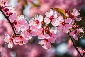 AI generated pink cherry blossoms are blooming in the spring. AI-Generated photo