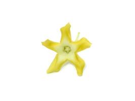 Close up the Cowslip creeper flower on white background. photo
