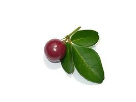 Close up Myrtle lime, Limeberry fruit with leaves on white background. photo