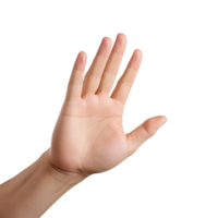 AI generated Expressive Hand Reaching Out with Palm Up Isolated on Transparent Background png