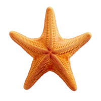 AI generated Elegant Starfish Isolated on Transparent Background png