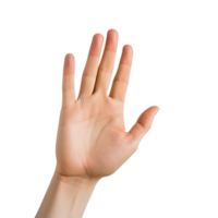 AI generated Expressive Hand Reaching Out with Palm Up Isolated on Transparent Background png