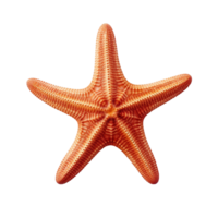 AI generated Elegant Starfish Isolated on Transparent Background png