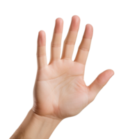 ai gegenereerd expressief hand- bereiken uit met palm omhoog geïsoleerd Aan transparant achtergrond png