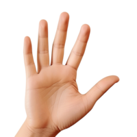 ai gegenereerd expressief hand- bereiken uit met palm omhoog geïsoleerd Aan transparant achtergrond png