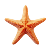 AI generated Elegant Starfish Isolated on Transparent Background png