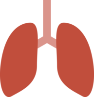 lungs medical icon png