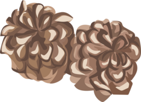 Christmas pine cone cartoon illustration on transparent background. png