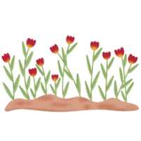 lindo tulipas jardim png