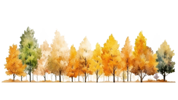 AI generated Autumn trees watercolor horizontal banner isolated on a transparent background. png