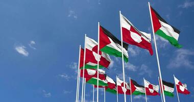 Greenland and Palestine Flags Waving Together in the Sky, Seamless Loop in Wind, Space on Left Side for Design or Information, 3D Rendering video
