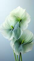 AI generated transparent lotus leaves pattern isolated background Created with generative Ai photo