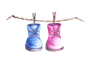 baby roze en blauw slofjes, schoenen met Kledinglijn, kleren pinnen. hij of zij, jongen of meisje waterverf geschilderd illustratie voor baby gelukkig verjaardag, pasgeboren, geslacht onthullen partij png