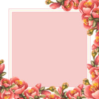 waterverf hand- getrokken plein kader van bloemen, knoppen, bladeren van kweepeer, appel of Japans Peer, Afdeling boom, voorjaar bloeiend sjabloon illustratie voor kaart, menu etiketten afdrukken achtergrond. png