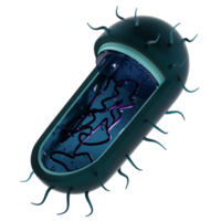 medisch bacterie micro organisme 3d icoon png