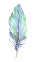 Hand painted watercolor bird feather, close up isolated on transparent background. Art scrapbook element, sketch, hand drawn. png