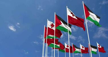 Tonga and Palestine Flags Waving Together in the Sky, Seamless Loop in Wind, Space on Left Side for Design or Information, 3D Rendering video