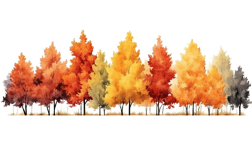 AI generated Autumn trees watercolor horizontal banner isolated on a transparent background. png