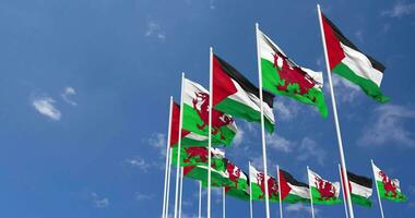 Wales and Palestine Flags Waving Together in the Sky, Seamless Loop in Wind, Space on Left Side for Design or Information, 3D Rendering video