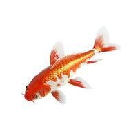 AI generated Gleaming and Radiant Golden Fish Isolated on White Background for Aquatic Enthusiasts photo