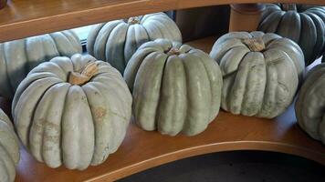 large pumpkins on a wooden shelf video