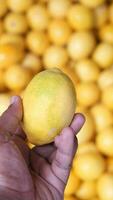 Jeune Hommes choisir citron vente dans supermarchés dans Istanbul video