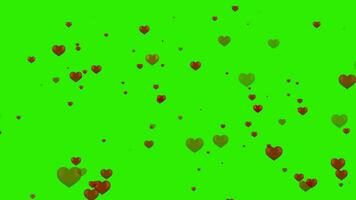 réaliste rouge l'amour avec vert écran video