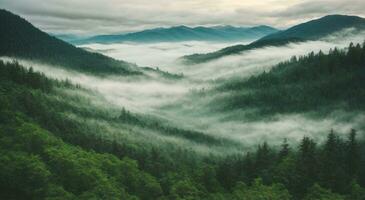 ai generado paisaje de brumoso verde bosque y montañas. niebla con hermosa natural escenario. suave textura bosque ilustración foto