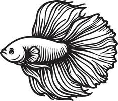 Betta Splendens Fish Sketch Drawing. vector