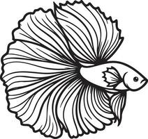 Betta Splendens Fish Sketch Drawing.