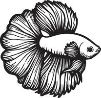 Betta Splendens Fish Sketch Drawing. vector